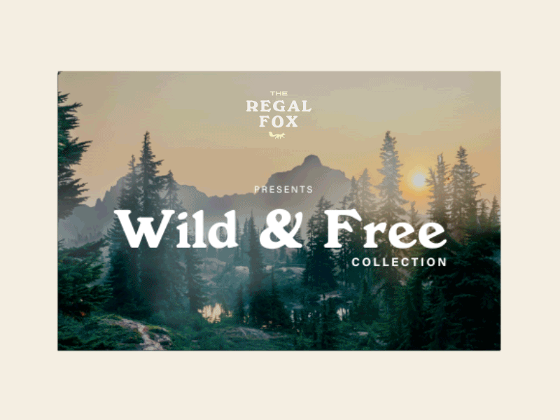 Regal Fox - Outdoor Brand Website [rebound] animation design eccomerce identity interaction interface outdoor ui web website