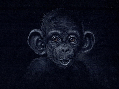 monkey s1 05 illustration