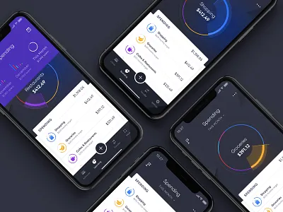 Cradle: Spending app bank banking finance fintech interface ios iphone x money spending ui ux