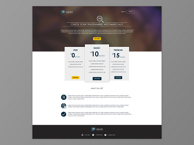 Home page design proposal for TM check website design ui ux