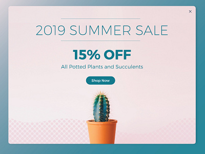 Daily UI | 036 cactus dailyui dailyui 036 dailyui challenge design plants sale special offer ui