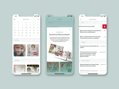 Soulments UI app application calendar design features interface ios iphone modal native notifications product ui ux