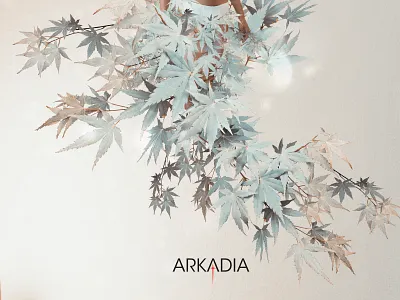 Arkadia Advert Web/Print advertisement branding design illustration