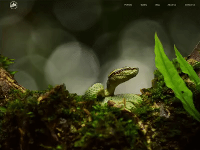 Adobe XD Auto-Animate (Website Landing Page) adobe animate adobe xd animation animation art animation design auto animate design dribbble best shot landing page landing page animation ui uidesign user inteface ux web web animation web ui design webpage website animation xd animation