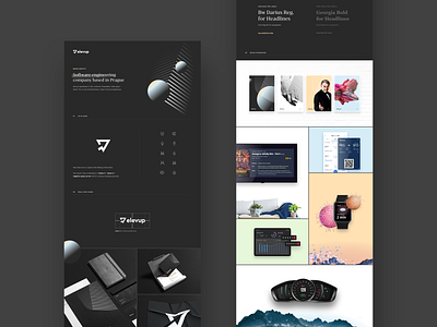 elevup Behance Case Study behance brand brand and identity case study elevup logo mark moodboard web