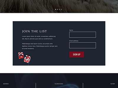 Sign Up Form brand design dark dice email mystery newsletter sign up sign up form squarespace typography ui web design website