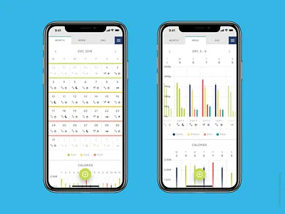 Macrostax UI app carbs chart crossfit data design diet fat fitness graph health interface iphone macros protein ui ux workout