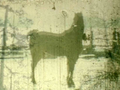 Horse1 analog double exposure horse super8 winter