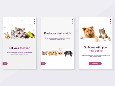 Daily Ui Challenge 023 - Onboarding animal animal shelter app challenge daily daily ui dailyui day23 design onboarding onboarding app ui