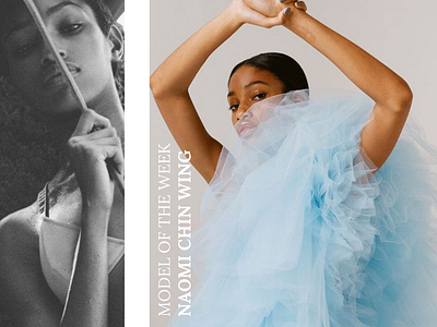 Tumblr Post social media