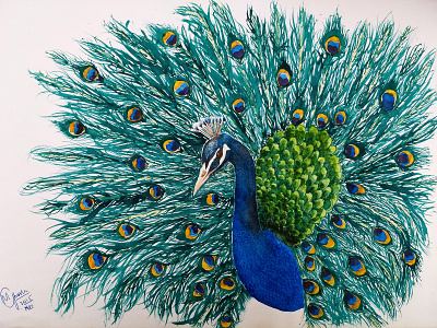 water color painting of a peacock hand made illustration painting water color