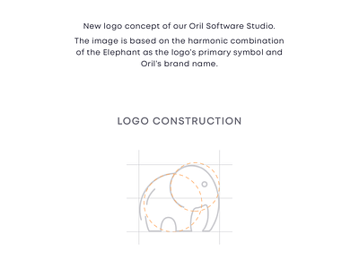 2 - Oril Software Re-branding logo re brand re branding re design software company software design software development web