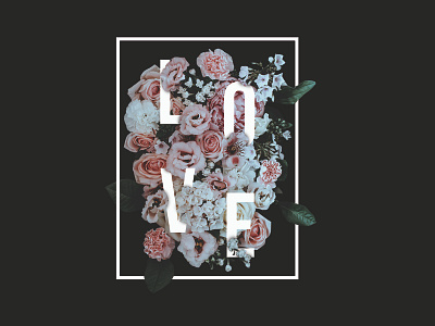 Flowers design flowers illustration typography