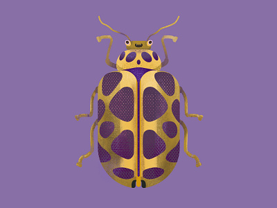 Insect brush drawing flat design illustration illustrator insect procreate sketch texture vector