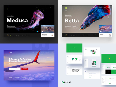 2018 color identity logo ui ux web