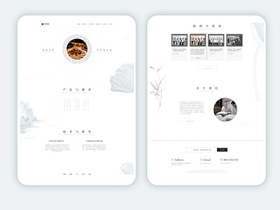 Medical website Chinese medicine contracted style website design design ux web 设计