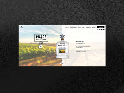 Pisco Portón web branding design typography ui ux web website