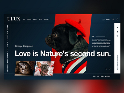 🐶Pet Shop｜Web Site Design black creative design dog graphic graphicdesign interface landingpage pet petshop photoshop ui uidesign uitrends userexperience ux uxdesign web webdesign website