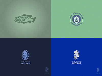 2018 2018 ancient cotton design fish flat graphic greece logo mark philosopher philosophy socrates symbol top4 top4shots vector
