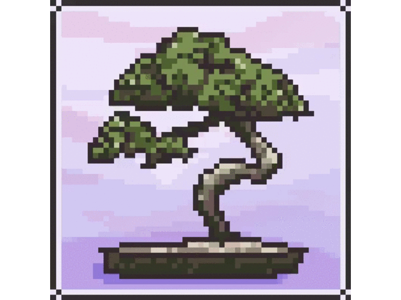 Bonsai in the animated azalée bonsai flower gif