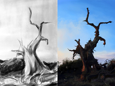 tree cg landscape tree