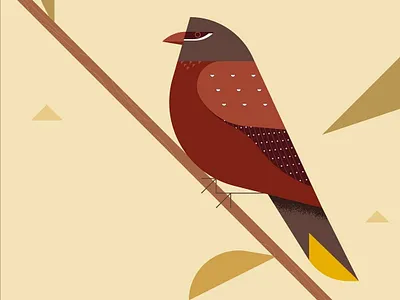 Strawberry Finch (Red avadavat) Illustration animal animal art asian bird bids bird illustration finch finch bird finch flat illustration finch illustration flat bird flat bird illustration flat illlustration minimal realism parrot strawberry finch