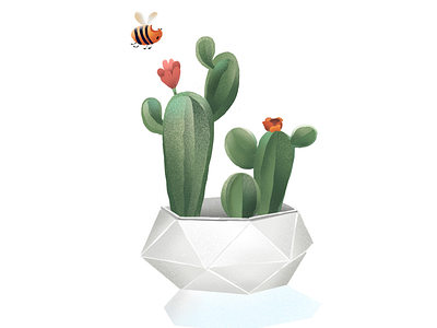 Cactus illustration. 2d artwork bee cactus cartoon creative designer digital digitalart graphic illustration illustrator ipad procreate ui uidesign web