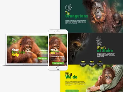 Landing Page Design art direction landing page ui deisgn web deisgn