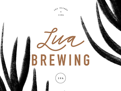 Beer Packaging beer design beer packaging black and white botanical brewery brewing brush strokes edgy hand lettering ipa ipa packaging label label design minimal modern modern script packaging packaging design simple