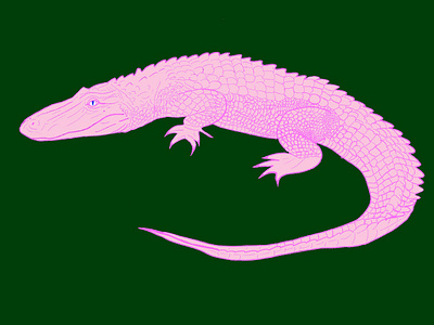 Everglades digital emilysearle everglades florida gator green illustration pink procreate swamp