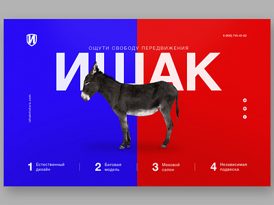 donkey concept affiche afiche banner color concept design inspiration poster typography ui web website website concept