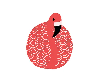 Flamingo animal bird bird illustration book flamingo nature pattern