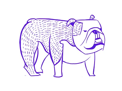 Bulldog animal book bulldog dog drawing nature