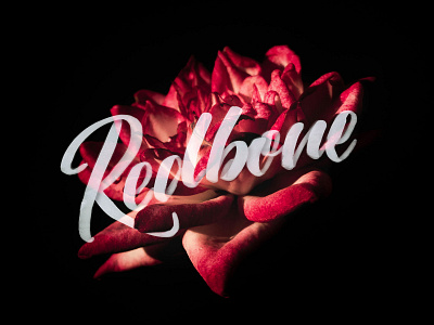 Redbone black brush brushlettering dark letter lettering lettering artist photograhy photoshop reddit song song lyrics tombow typography