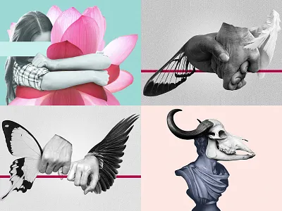 2018 Top 4 black and white collage color costa rica death design digital collage feelings flower love top4