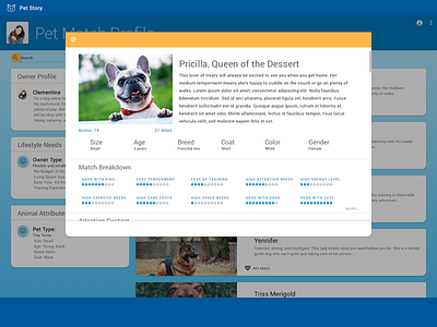 Pet Match Landing Page Match 1 material design 2 sketch ui
