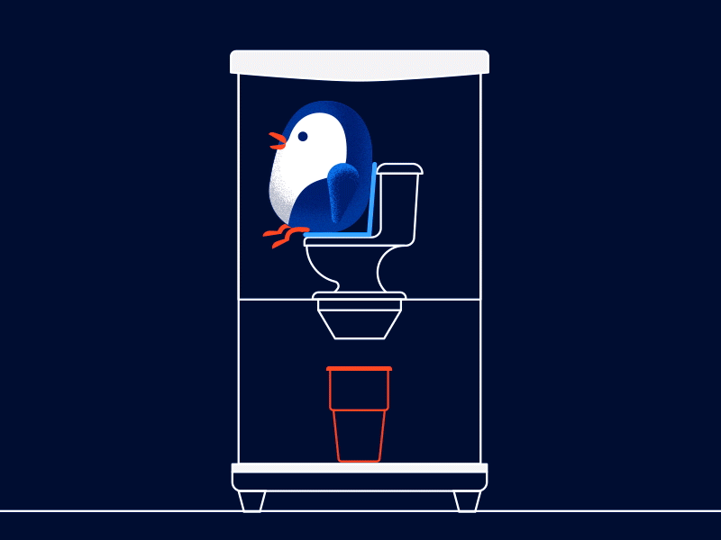 Animal Abuse after effects animal animate animation bird cold drinks gif ice ice cube illustration loop motion graphics penguin poo toilet