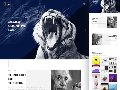 Memex Theme landing page design website design