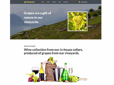 Hot Vineyard drinks food and beverage food and drink grapes grapevine joomla joomla template responsive responsive design template vine vines vineyard vineyards