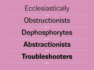 Jornada Sans overview sans styles typography