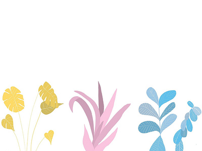 Houseplants blue home leaf leaves love pink plants yellow