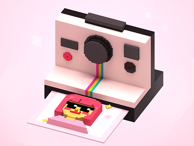 Polaroid 3d voxel