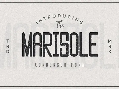 Marisole Condensed Font alcohol beer blogging branding design font design handwritten font headline illustration logo modern font packaging retro design rugged sans serif vintage whisky