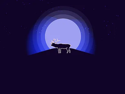 Silhoutte NIGHT 2d icon illustration illustration art practice swatches ui ux vector web