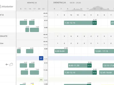 Personnel Deployment Planning design ui user experience user interface ux visual design web