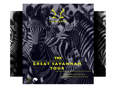 Poster branding design vector