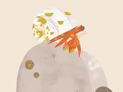 Hermit Crab animal crab illustration rocks sea