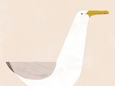Gabian bird illustration poster print seagull