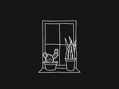 Plants 2d cacti cactus calm flat illustration plants window