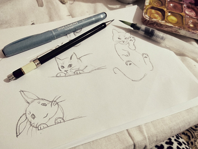 Cat# drawing cat draw